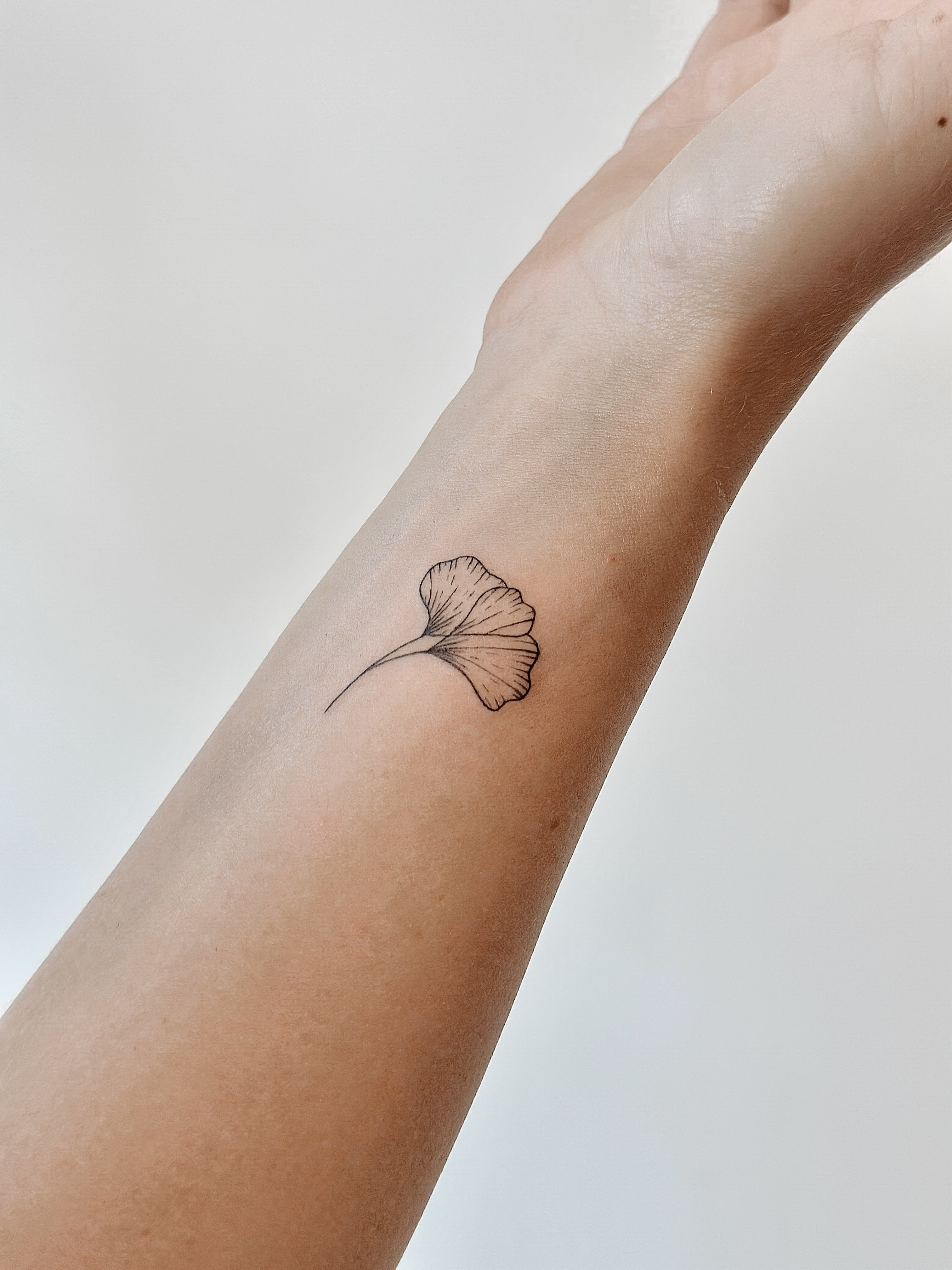 Delicate fine line rose tattoo by CHA